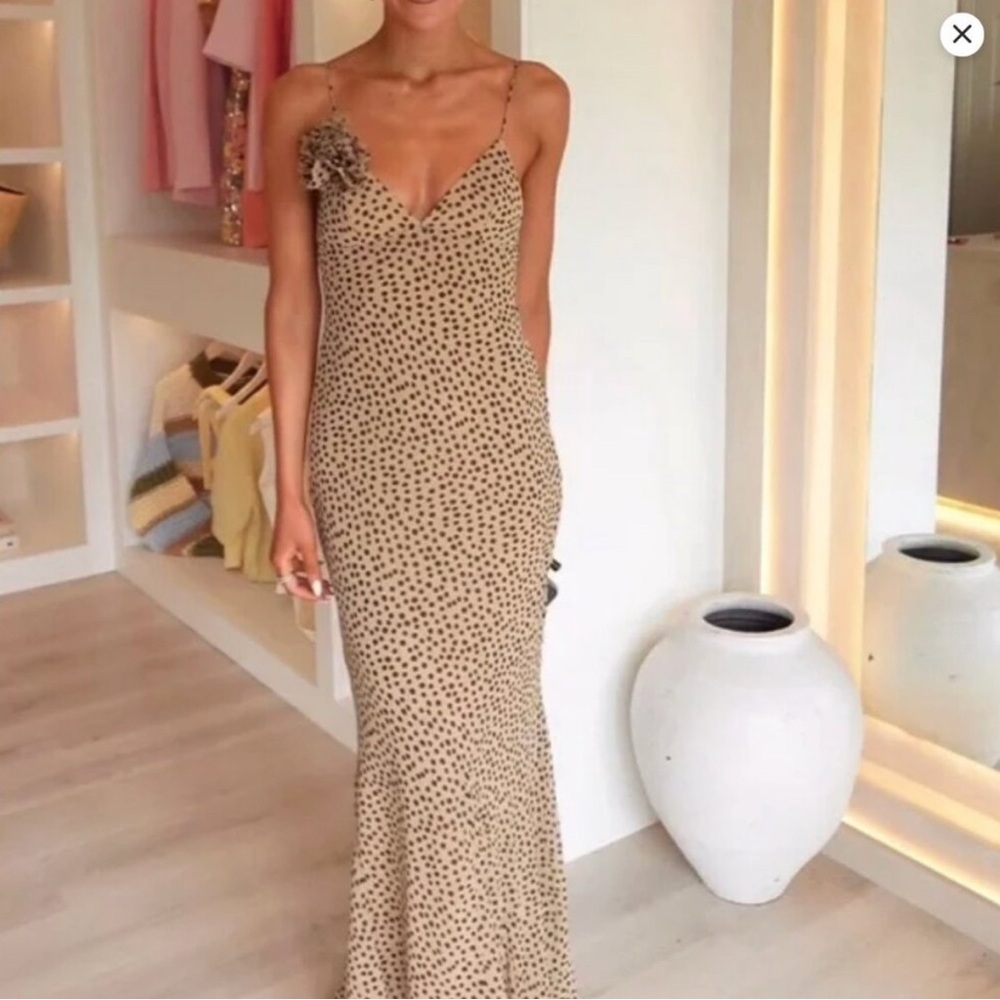 Zara Tan Maxi Dress with Black Dots (Fits like a Small size) - Picture 6 of 12